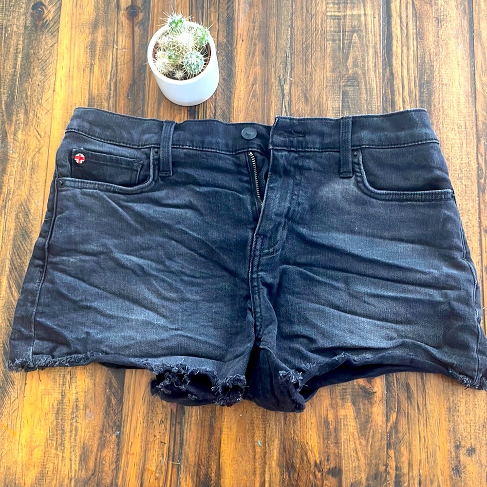 Hudson Gracie shorts size 28